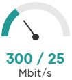 Internet 300